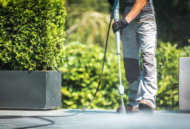 Best Animal Enclosure Cleaning  in Schoolcraft, MI