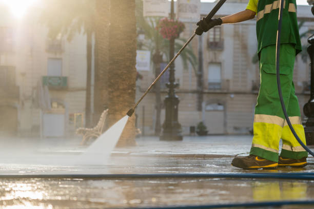 Best House Exterior Washing  in Schoolcraft, MI
